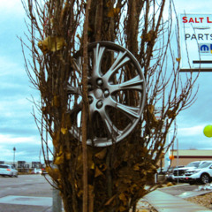 we can cause a scene