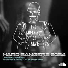 RAVE PICKS | HARD BANGERS 2024