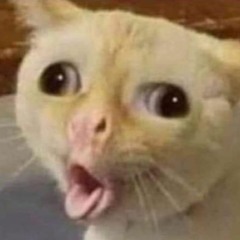 breaks/electro and love