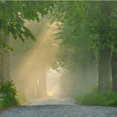 Silent Fog Passage