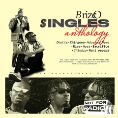 Brizco Singles Collection 2023