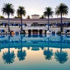 Summer Pool Days Heat