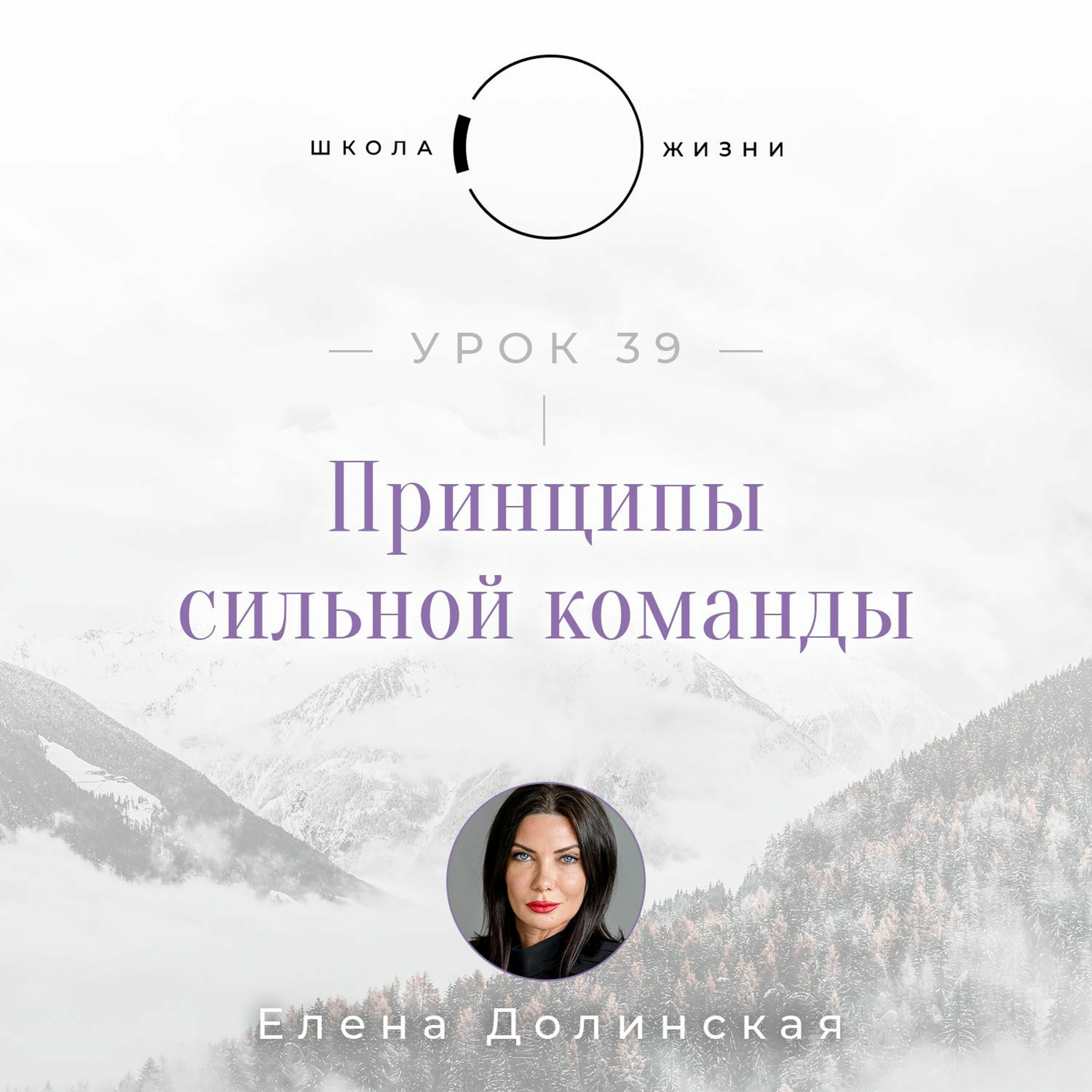 Урок 39. Принципы сильной команды episode artwork