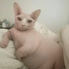 odin house set(or techno idgaf)