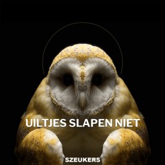 Uiltjes Slapen Niet