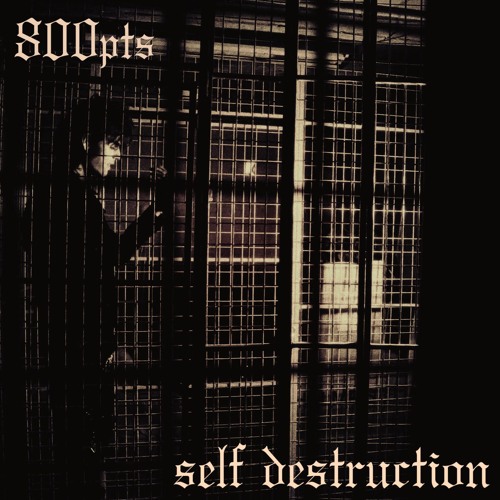 self destruction (prod. japan & sonne)