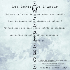 "Les Cordes De L'Amour (Syntonie N°II)" (© Extrait) Album "Expérience - item 15"
