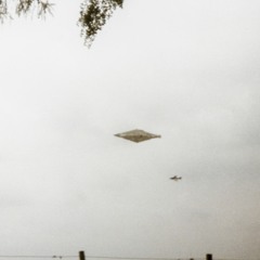 Noble 6 (Prod. Yungzaq)