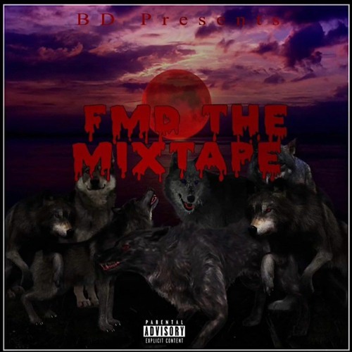 BD X Teezy X Wild