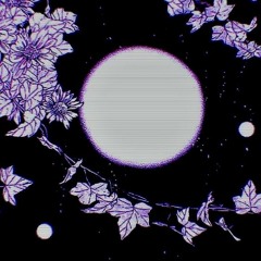 Ｉｎ ｍｏｏｎｌｉｇｈｔ