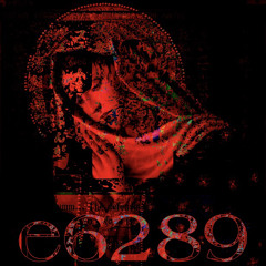 e6289
