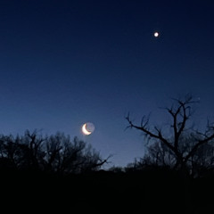 Moonlight Bliss