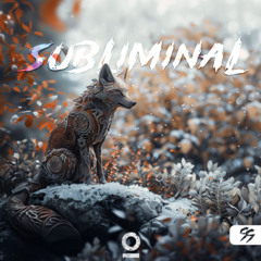 Soundstorm - SUBLIMINAL [Outertone Release]