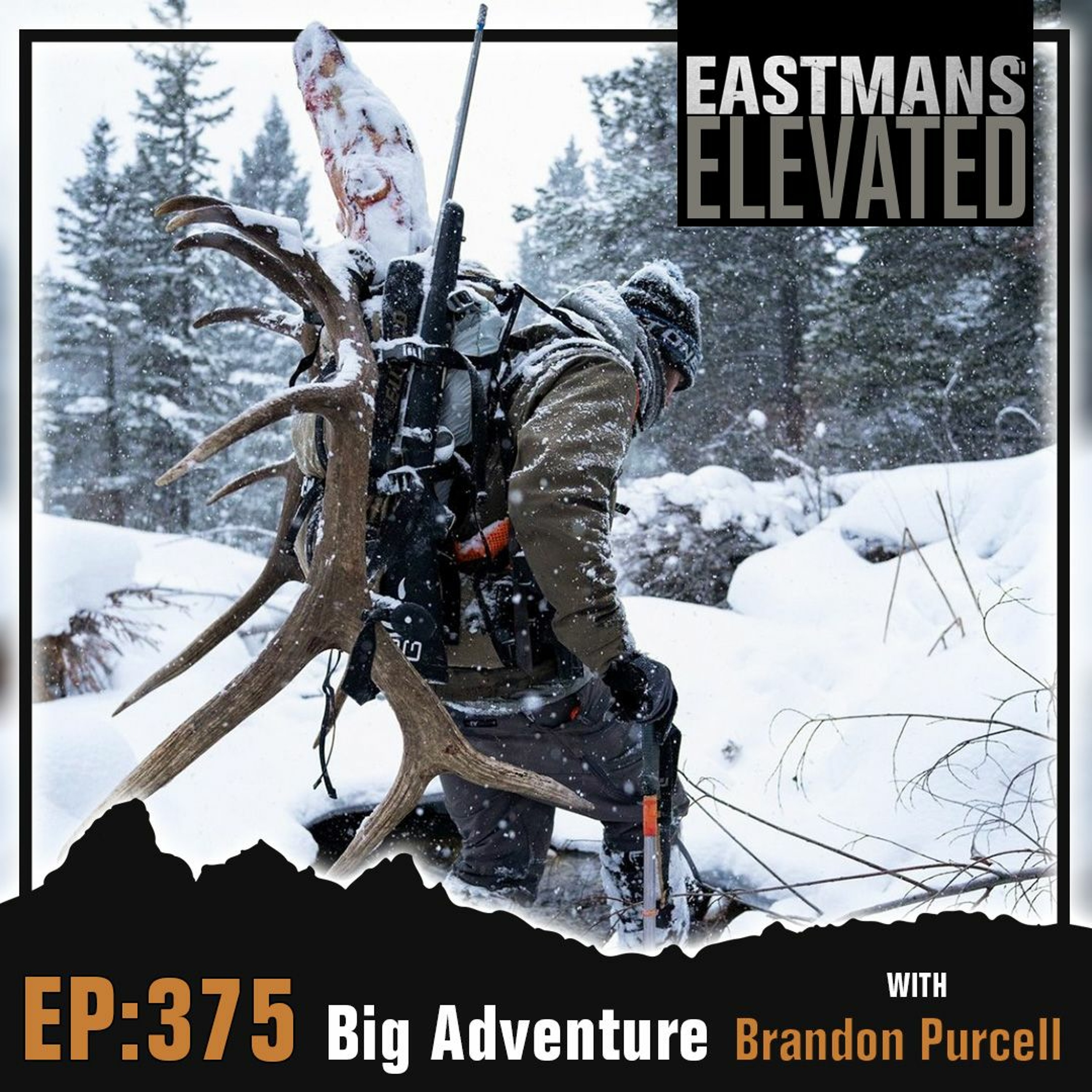 Episode 375:  Big Adventure With Brandon Purcell