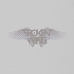 Broken Wing by Nate Good