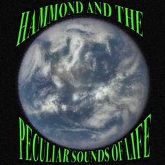 Revolution of Delusions in Cellophane Dreams