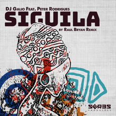 DJ Galio Feat. Peter Rodrigues - Siguila (Raul Bryan s Dub)