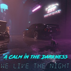 A Calm In The Darkness
