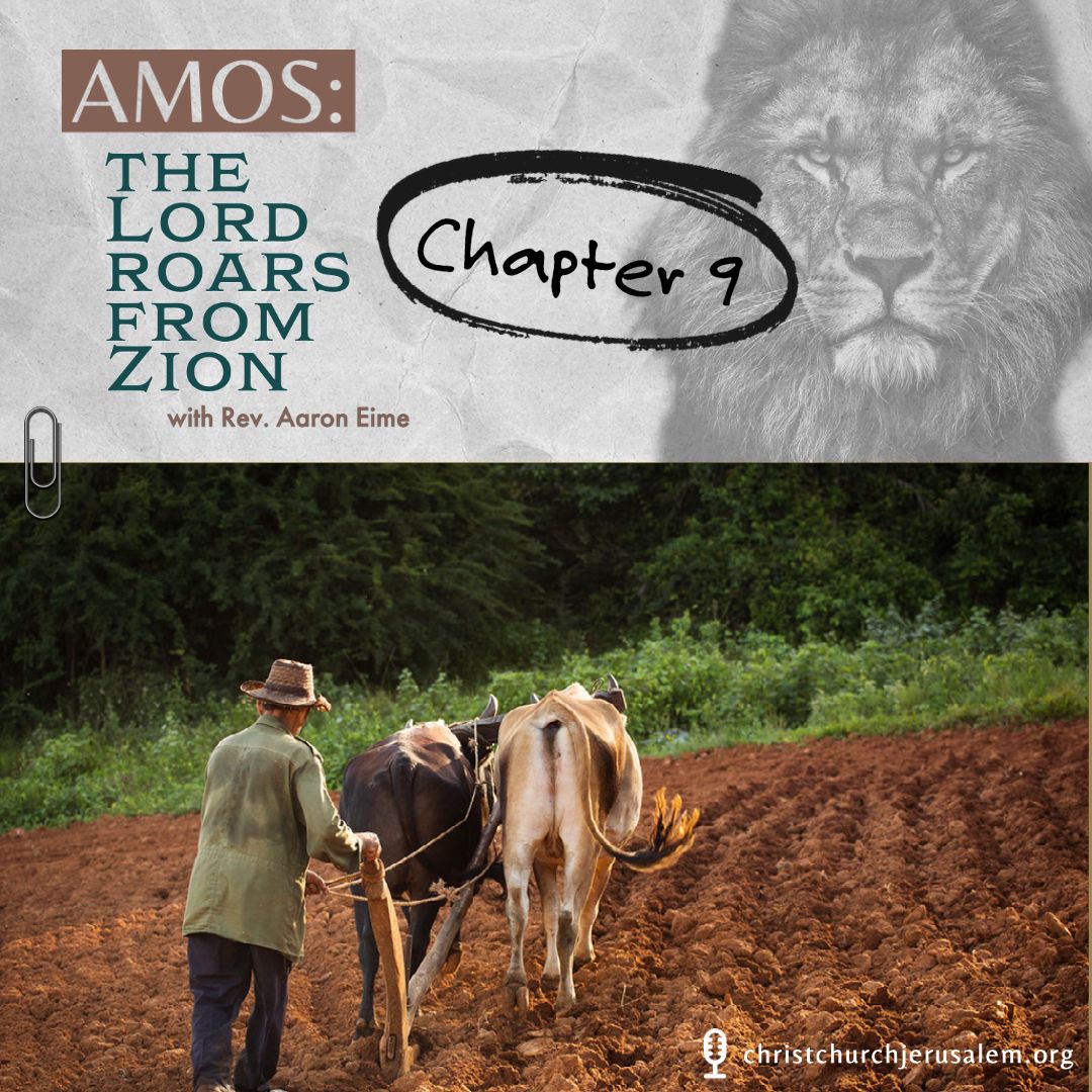 Amos Chapter 9: The Burden of the Lord | Aaron Eime