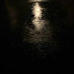 like a fly in the rain