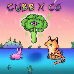 30 - Cubb Ft CG