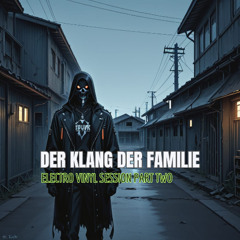 ELECTRO VINYL SESSION PART TWO  2025