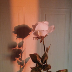 ️💲LOVE CONQUERS HATE (Leak) New song 2021 ❤️