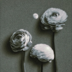 secrets&sunsets • prod. thislandis x flower