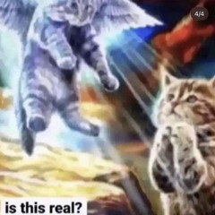 HERMANITO NO ES DJ ESS (PROD. DJ DELUJO) FT KARIM Y HOZUE #SOULGANG #DJDELUJO #NOTENGONIUNPESO