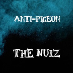 Anti-Pigeon