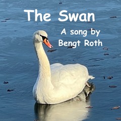 The Swan