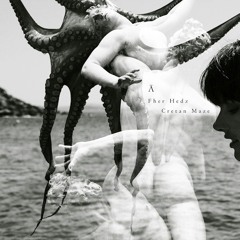 Fher Hedz - Cretan Maze (Delator Remix) [Asthetics]