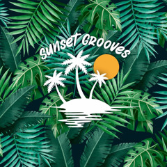 GroovyD - Sunset Grooves