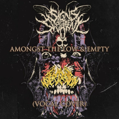 Signs of the swarm - Amongst the low & empty (vocal cover).wav