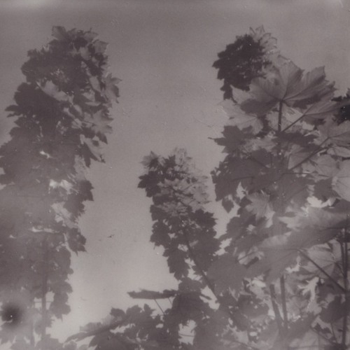 From Your Autumn Through Winter