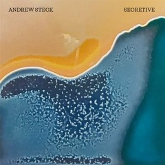 03 - "Secretive" Andrew Steck