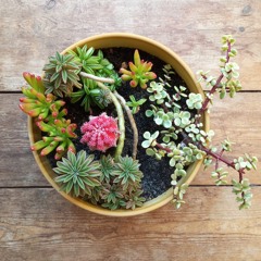 Neptun - Pre - Movie - Mix