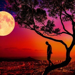 Alexander Kastelijn - Pres. Sam Switch ft. Feline Ashley - Starlight Echoes (Radio Edit)