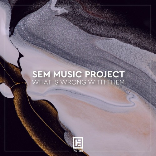SEM MUSIC PROJECT - What Is Wrong With Them