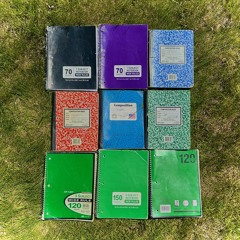 diaries of a stolen heart