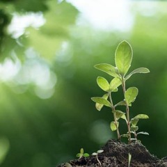 New Beginnings (Demo)