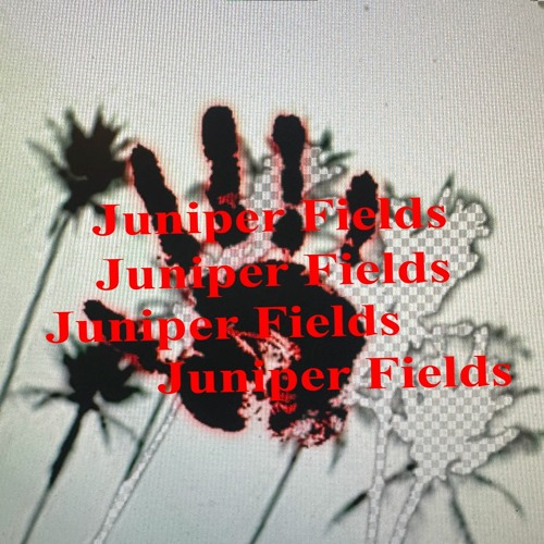 juniper fields @ cargo: we're sinking