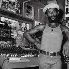 Drummie Ank Meets Lee Perry In Dub Style