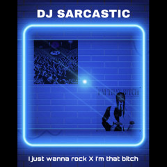 DJ Sarcastic- i just wanna rock x im that bitch