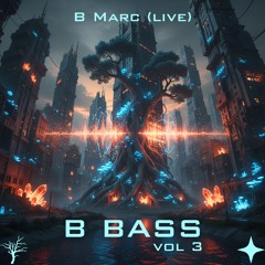 B Bass Vol 3 (live from Cervantes)