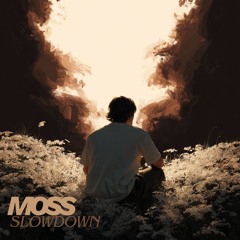 Celestial Reverie Drift