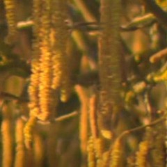 stuff like that//.[VISUALS IN DESC.]
