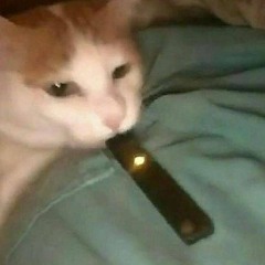 SentryTurbo - Meow