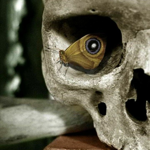 مهرجان حب خاين 2019 غناء لايف ابو الشوق