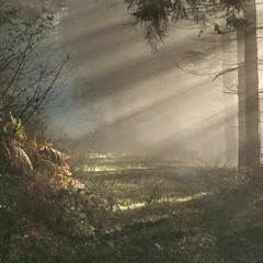 Moorbewohner